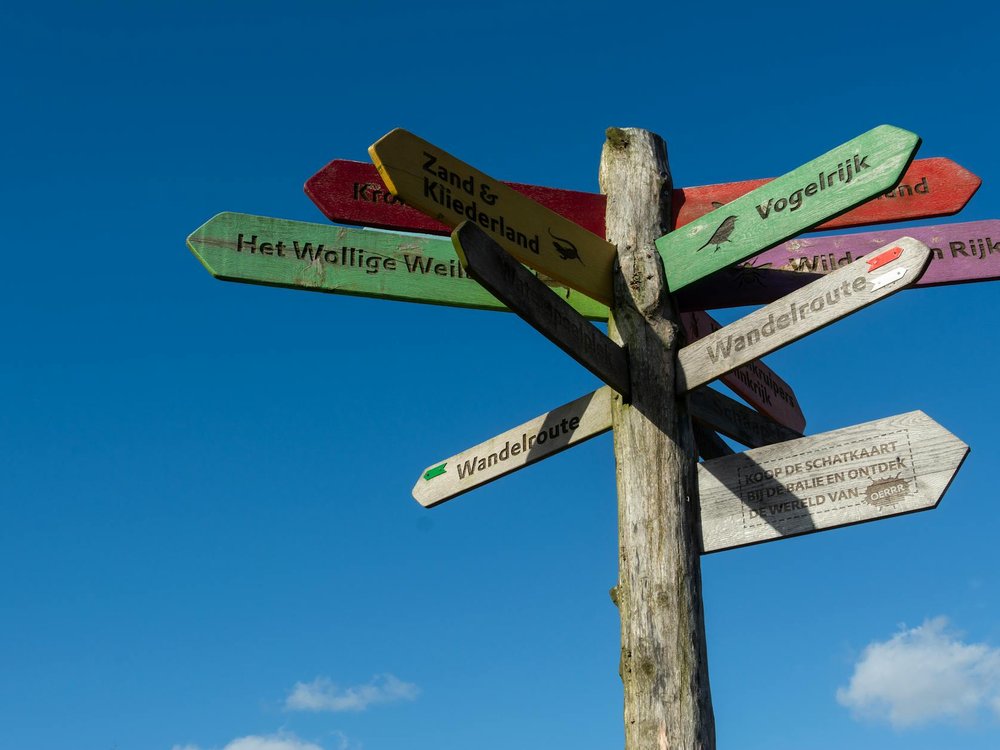 WordPress multilingual plugin setup