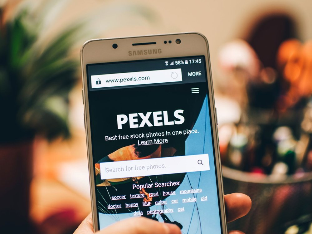 portfolio-page-alt-text-editing